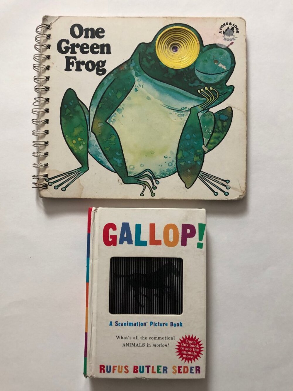 Scanimation and Poke & Learn Book